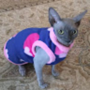 Meet your Posher, Wendy